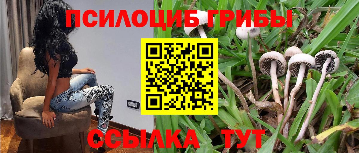 Галлюциногенные грибы GOLDEN TEACHER Зеленокумск