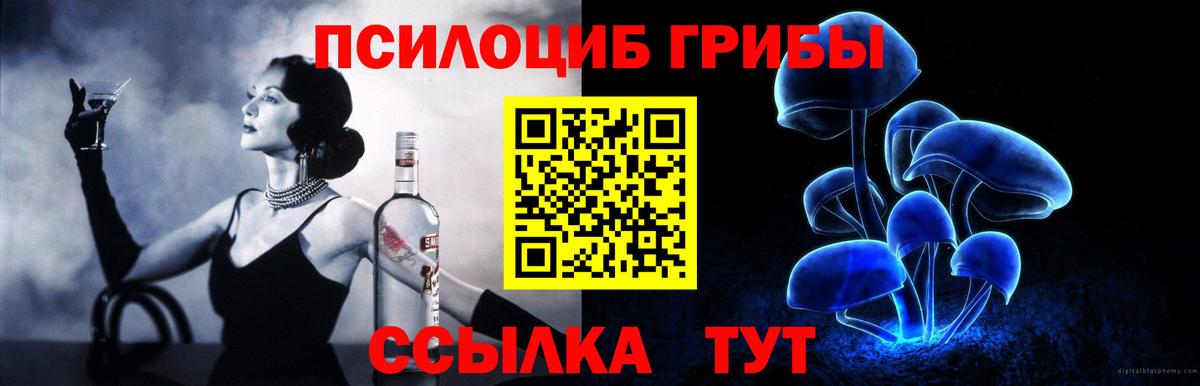 Зеленокумск  Псилоцибиновые грибы Cubensis  Вход с VPN 