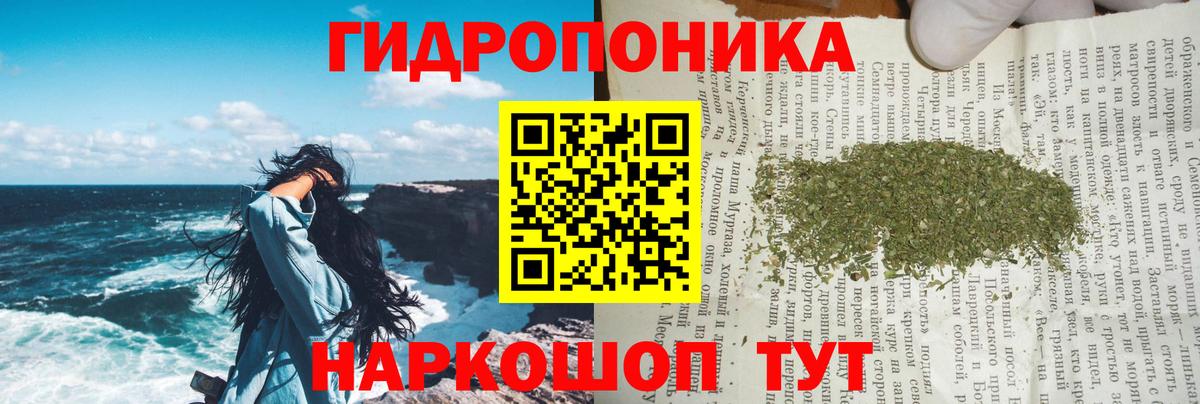 Бошки марихуана White Widow  Вход с VPN  Зеленокумск  Шишки марихуана ГИДРОПОН  Шишки марихуана марихуана 